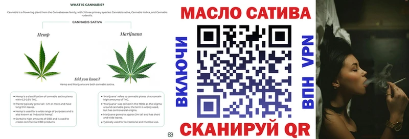где купить наркоту  Новозыбков  kraken зеркало  ТГК Wax 