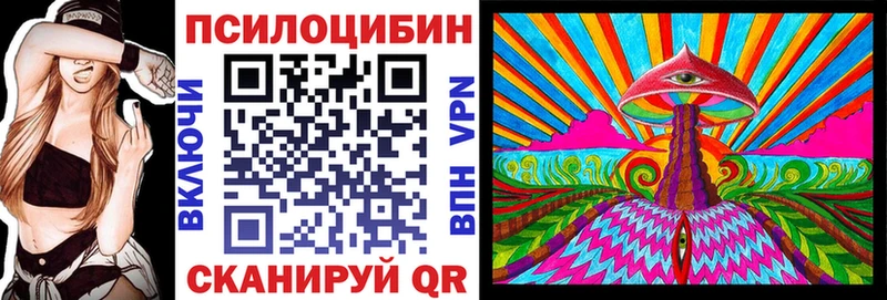 мега зеркало  закладка  Новозыбков  Псилоцибиновые грибы MAGIC MUSHROOMS 
